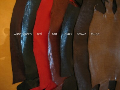 Genuine Lizard Belly Skins grade A, hide Pelt Glossy 7 colors, variety of sizes 