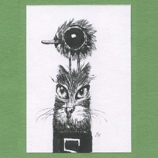 ACEO art card original pen and ink drawing pop surreal Ink Cat 45 Tim Olly
