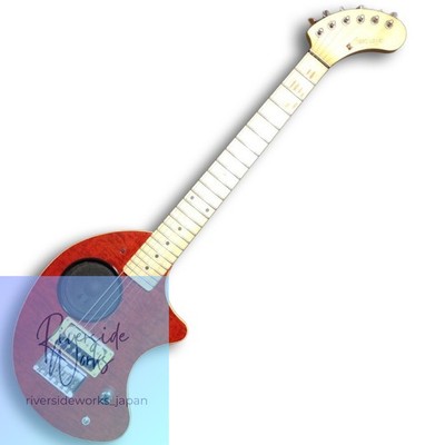 FERNANDES zo-3 integrierter Verstärker E-Gitarre