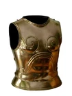 Medieval Chest Warrior Breastplate Body Armor Greek Halloween Costume Larp Sca.
