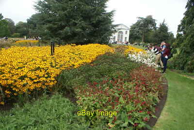 Photo 12x8 View of the Orangery Cafe from the lawn by the flowerbeds Brent c2016