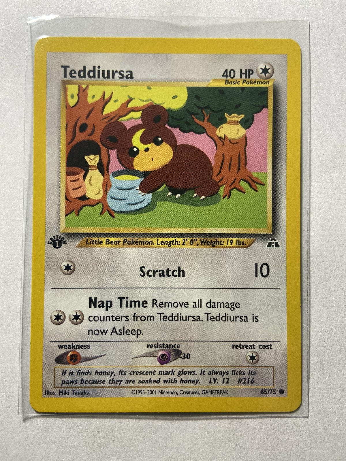 Teddiursa Neo Discovery Near mint English  1st edition  65/117