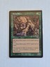 Stone Kavu - Planeshift - LP - MTG Magic - Common - Creature 