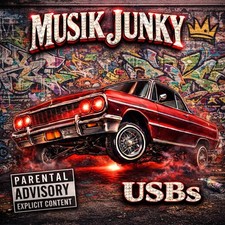 64gb USB With Over 1000 Mp4 Videos, Rap Hiphop Car Audio