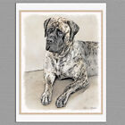 6 English Mastiff Dog Blank Art Note Greeting Cards