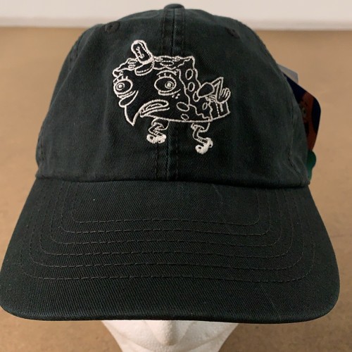 Dad Hat NWT | eBay