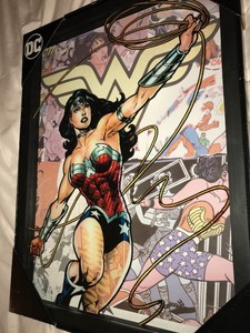 Wonder Woman Glass Framed Hanging Wall Art Comic Walls 20 X15 Dc Rare Ebay