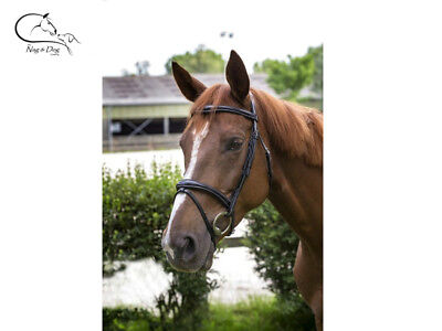 Anatomic Comfort Flash Bridle "LUXE"  Black/Brown All Sizes FREE DELIVERY