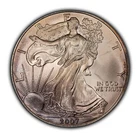 2007 1 oz Silver American Eagle - Violet Galaxy Toning - BU - SKU-E3185