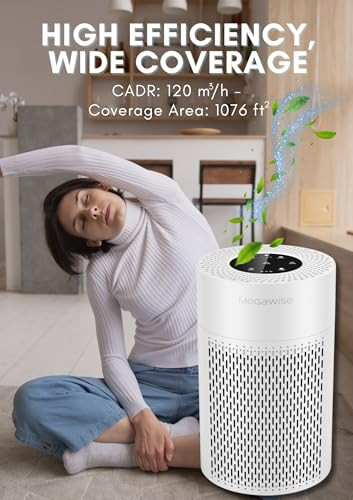 Air Purifier for Home, Bedroom & Office, H13 True HEPA Filter, Smart Air