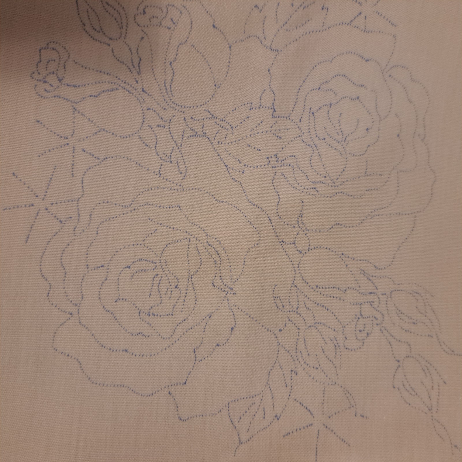 Picture 3 of 17