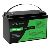 12V 100Ah Lifepo4 Deep Cycle Battery for Solar RV Marine DTOUBOSS with BMS