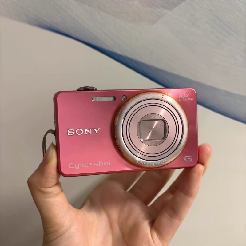 SONY Cyber-shot DSC-WX100 Compact Digital Camera 18.2 Megapixel