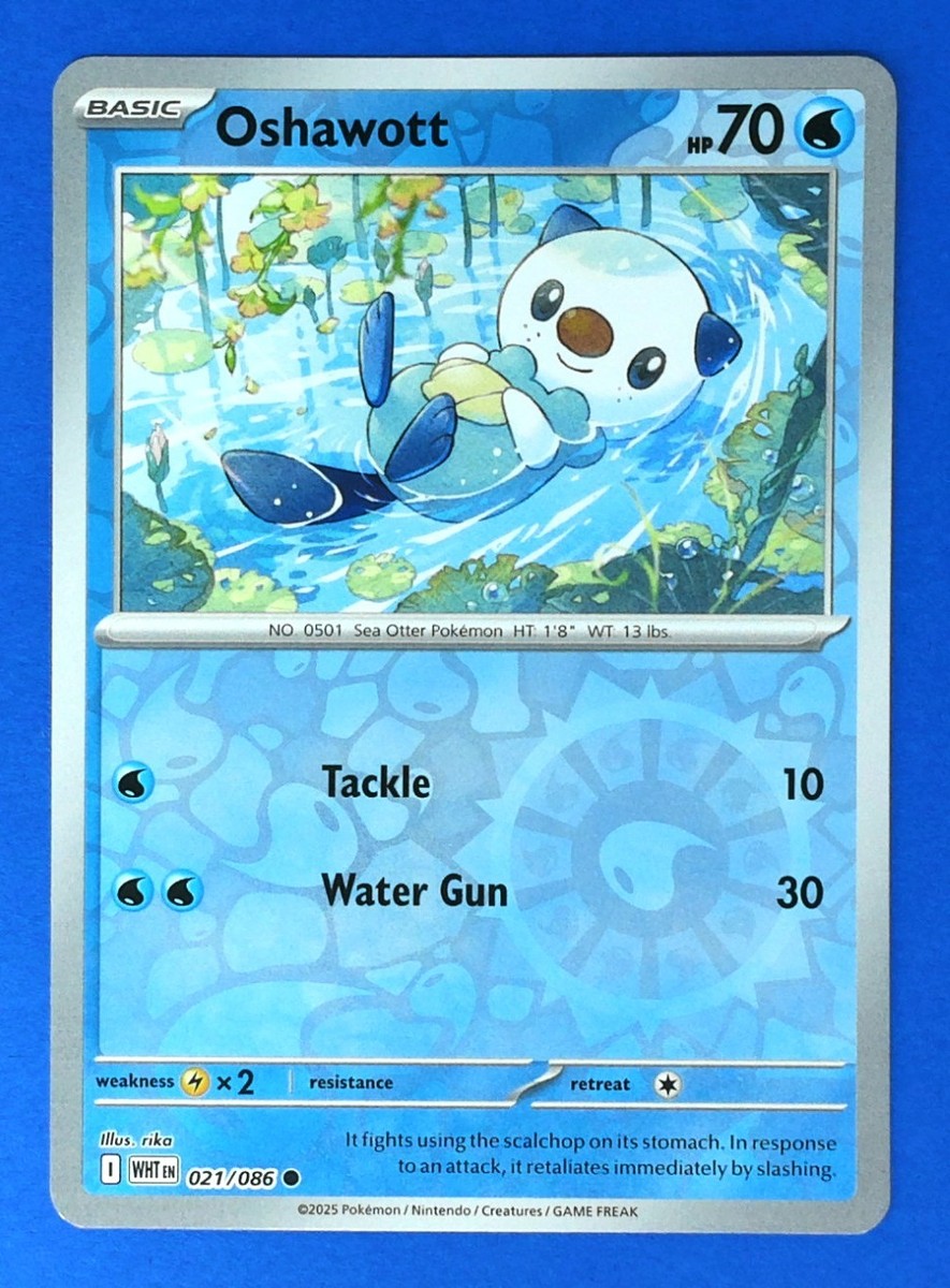 2025 ポケモンカード Oshawott アートレア Gem Mint 10 2025 ポケモンカード Oshawott アートレア Gem Mint 10 Pokemon Card