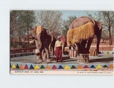 Postcard Elephant Show St. Louis Zoo St. Louis Missouri USA