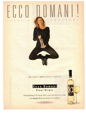 Ecco Domani Pino Grigio Today More Active Lifestyle Vintage 1993 Print Ad