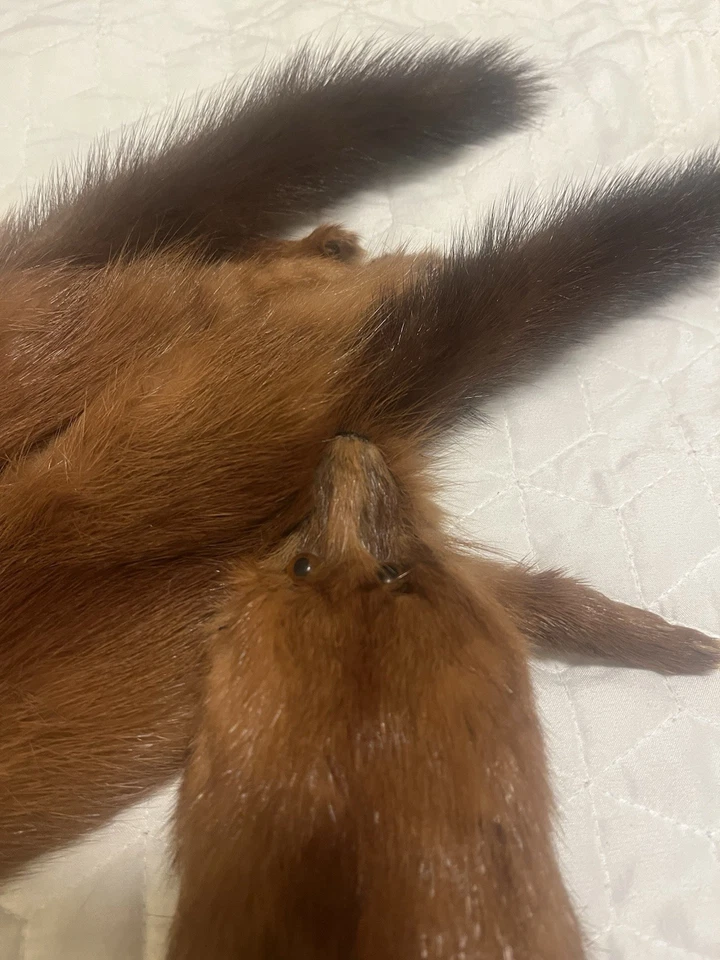 Estola de zorro rojo vintage 4 pieles con cabeza y pies hecha a mano muy buen estado Foto 3 de 4