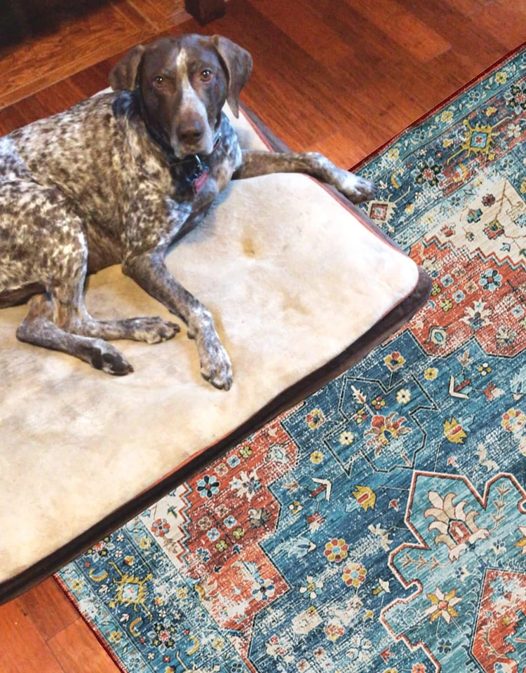 Linon Home Decor Products The Anywhere Washable Rug Beasley Teal & Rust 3' X ... - Image 4 of 4