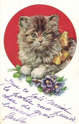 PC CATS, SMALL CAT WITH YELLOW RIBBON AND FLOWERS, Vintage Postcard (b47142)