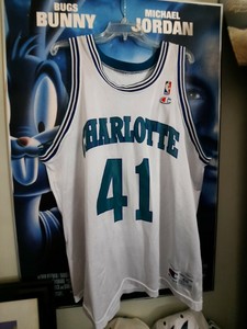 michael jordan hornets jersey