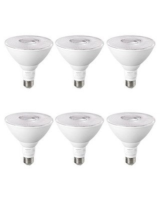 EDISHINE Flood Lights Outdoor, Dimmable PAR38 LED Outdoor Flood Light Bulbs,6 PS