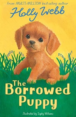 Holly Webb The Borrowed Puppy (Taschenbuch) Holly Webb: Animal Stories