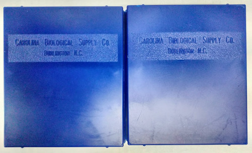 Carolina Biological Supply Co. Prepared Slides for Microscope