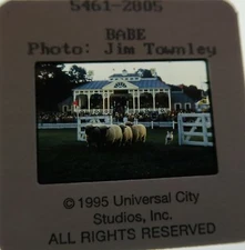 BABE PIG IN THE CITY CAST James Cromwell Mickey Rooney  ORIGINAL SLIDE 10