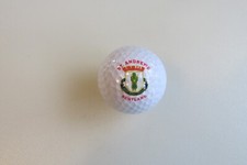 Unbranded St. Andrews Scotland Logo Golf Ball New Condition