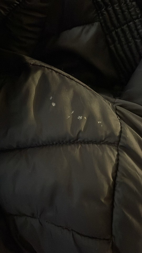 Time And Tru Puffer Style Jacket With Removable Hood,sz.1X(16W18W