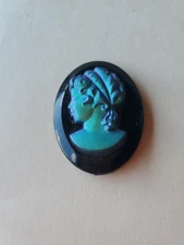  Cameo Vtg. Iredesent On Black Bakelite? Lucite? Shell,  Loose 