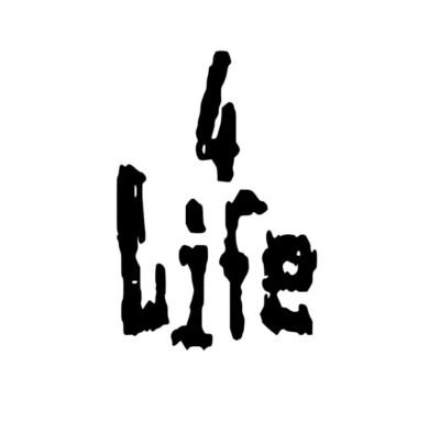 VINTAGE NWO ''4 Life'' Custom Sticker Decal Phone laptop Car Window art 4x6!