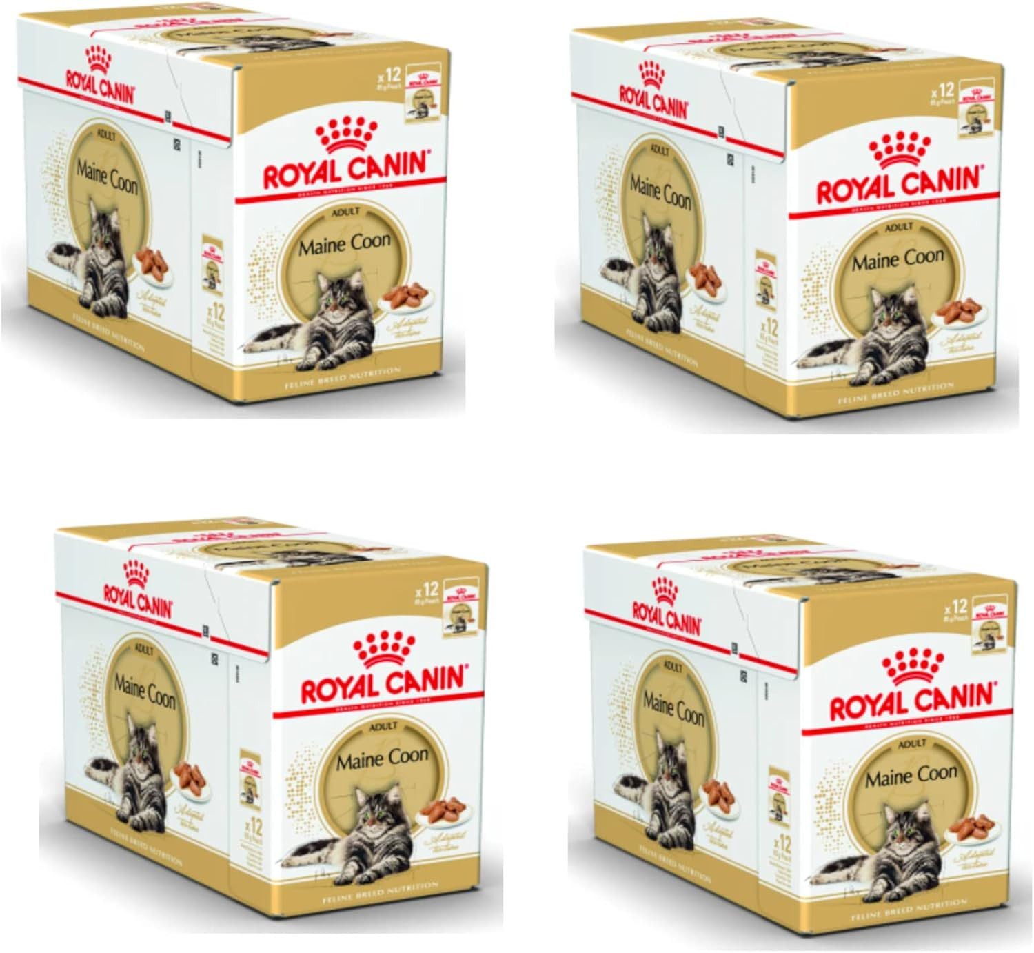 Kit Benessere Maine Coon Adult - 48 Bustine Umido Royal Canin