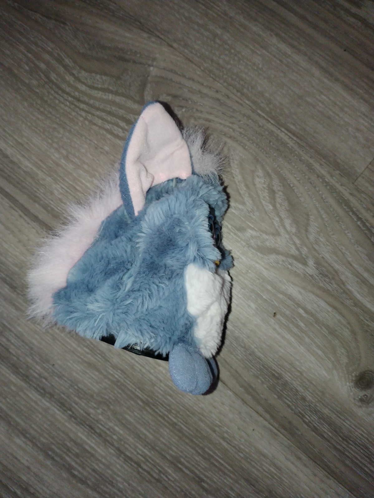 Picture 3 of 3