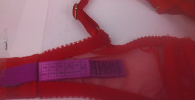 L'Agent By Agent Provocateur Red Ultra Sheer Seductive Underwired Bra Size 34 DD