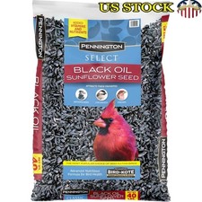 Black Oil Sunflower Seed Wild Bird Food 10lb High Protein Year-Round Feed New