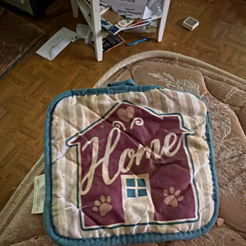 Quilted Square Potholder Fabric Graphic Print Home House Paw Blue Trim
