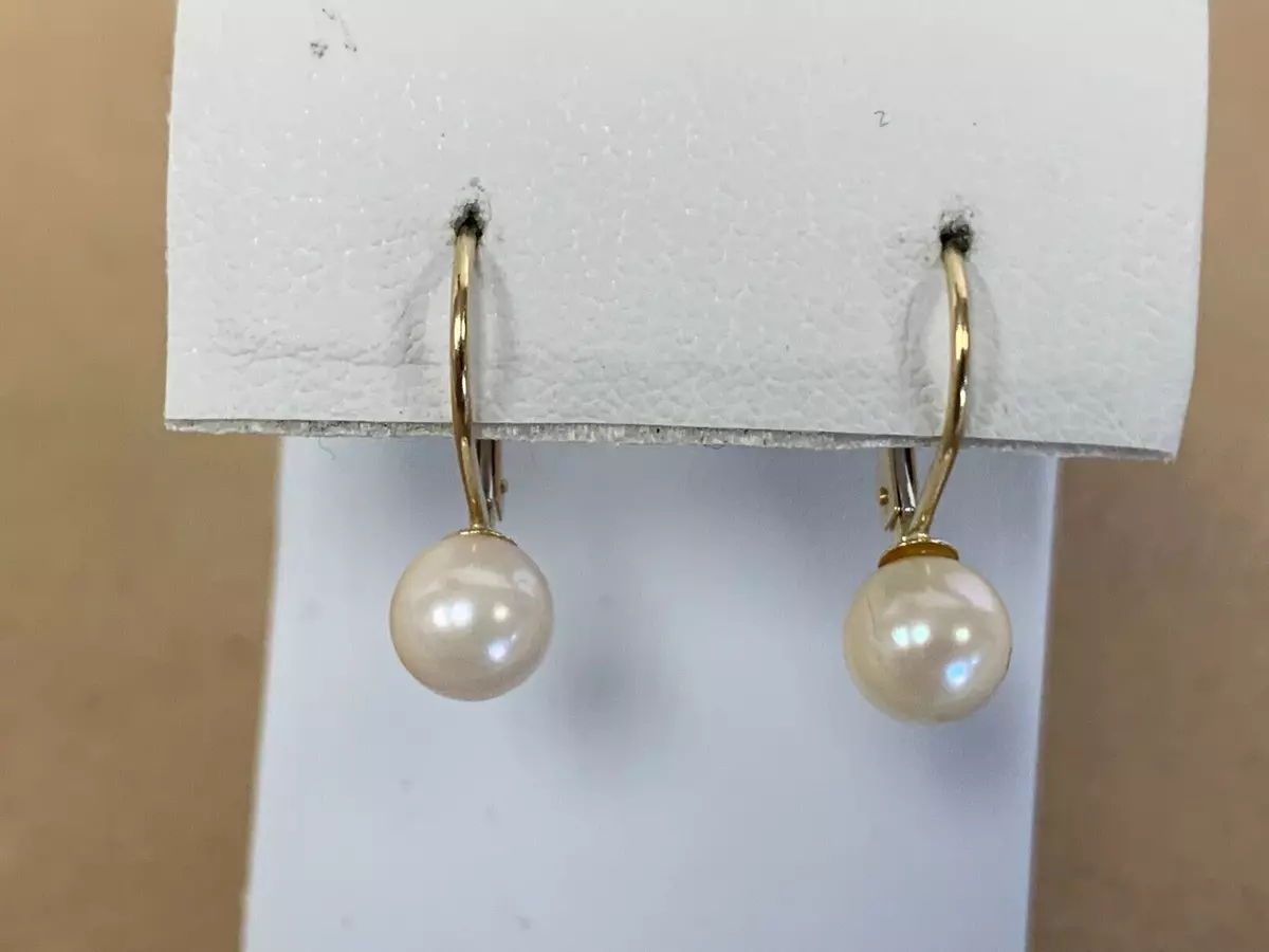 Ebay outlet leverback earrings