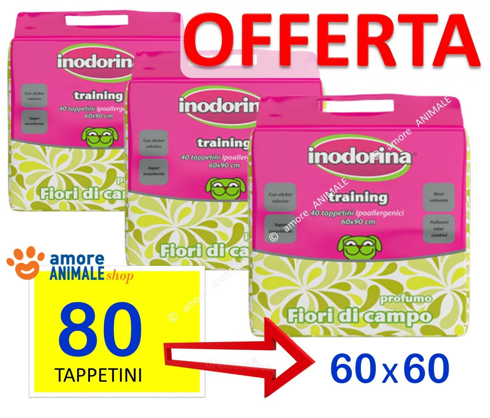 Foto 3 di 5