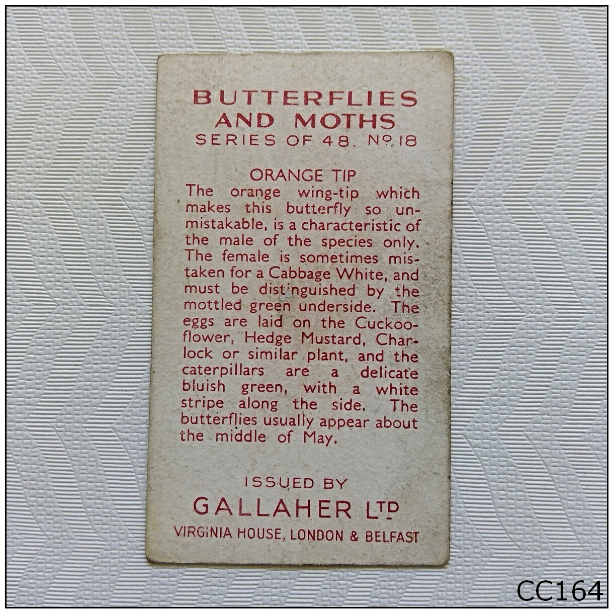 Gallaher Butterflies & Moths 18 Orange Tip Cigarette Card (CC164) eBay