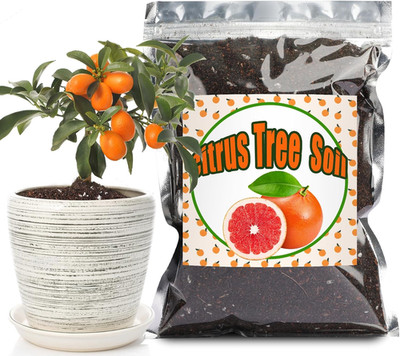 Citrus Tree Potting Soil Mix, Organic Loamy Potting Soil for Potted Lemon or Lim
