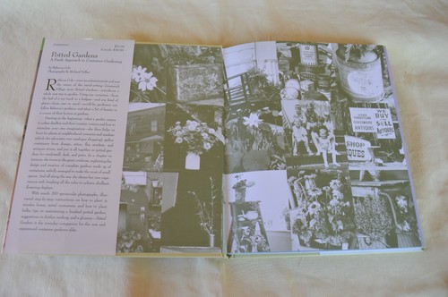 HCDJ Potted Gardens A Fresh Approach to Container Gardening by Rebecca Cole 1992 - Picture 4 of 18