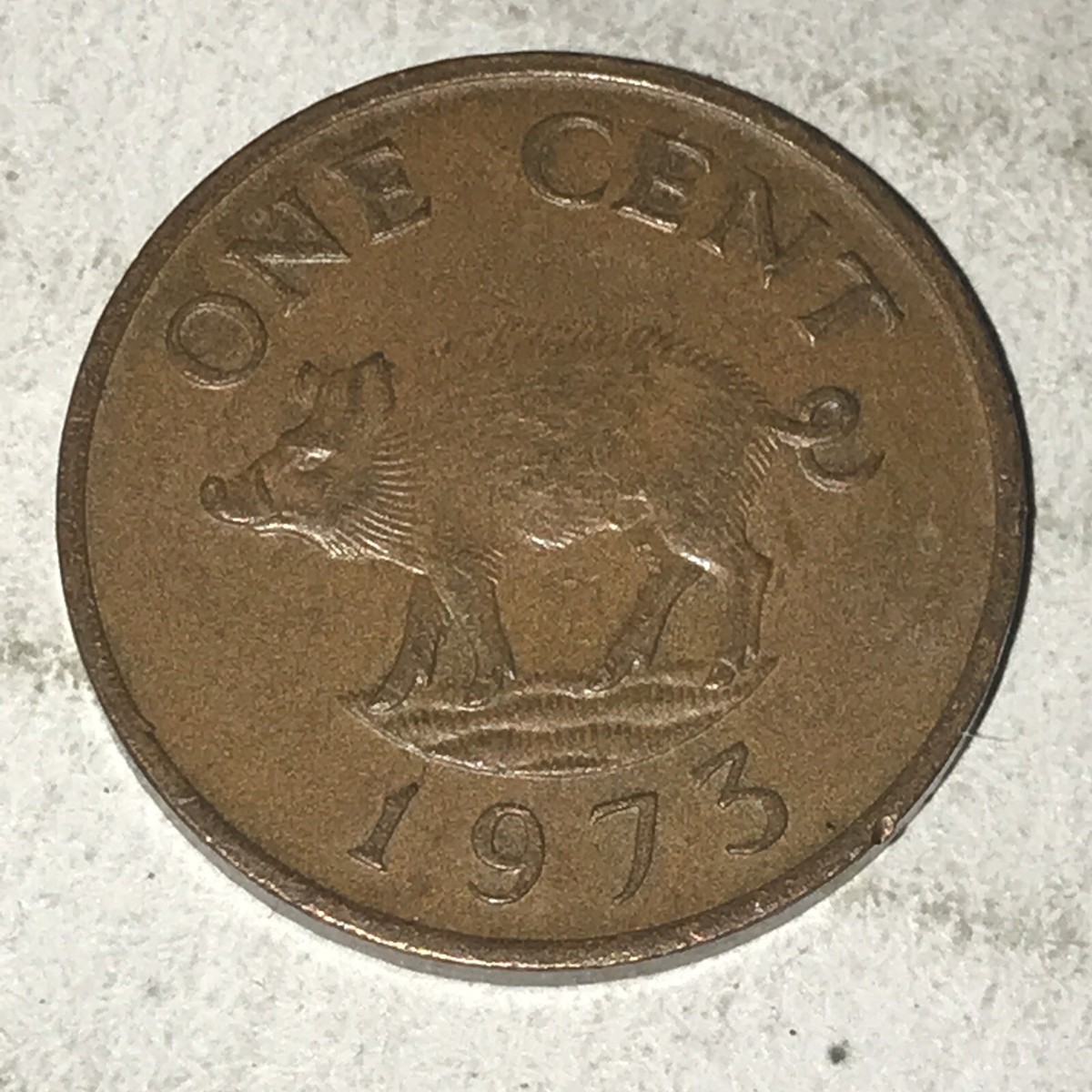 1973 One Cent Coin Pig Penny Bermuda | eBay