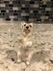 Royal Doulton Sitting Up Begging Cairn Terrier Hn 2589 Mint Condition / England