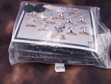 Warhammer Age Sigmar AOS Lumineth Realmlords Vanari Auralan Wardens T345