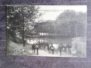 carte Postale kerinou brasserie chevaux Abreuvoir
