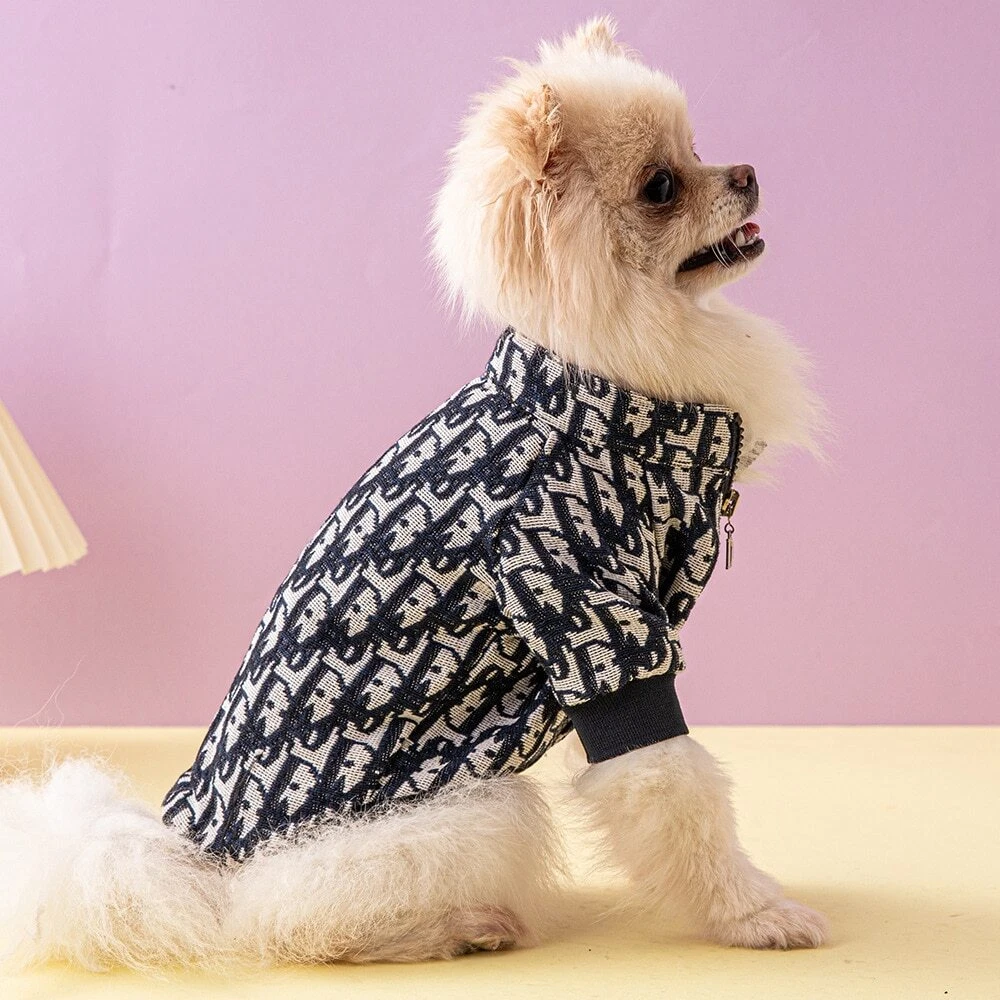 Fendi dog shop sweater