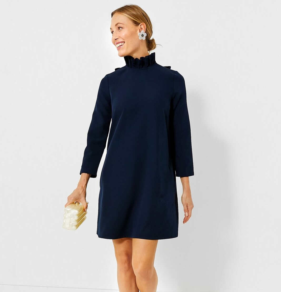 Tuckernuck Navy Blue Daphne Dress sz XS Ruffle Collar Bow Swing Mini Party  PO