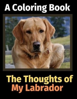 Brightview Activity Books The Thoughts of My Labrador (Taschenbuch)