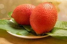 5 Rare Gac Melon Seeds - Bright Spiky Melon, Compact Vines